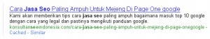 Apa Seo