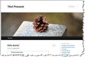 tiket_pesawat_murah